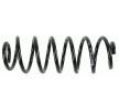 SACHS Helezon yay — 2012 Ford Fiesta (4)