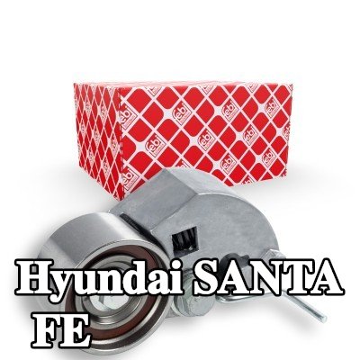 FEBI BILSTEIN بكرة شد حزام التوقيت مع برغي — 2012 Hyundai Santa Fe