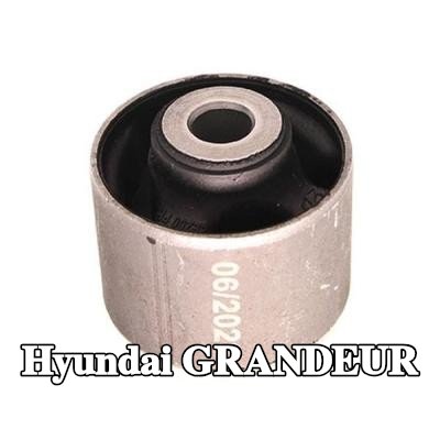 MAXGEAR حامل الترس التفاضلي للمحور الخلفي — Hyundai Grandeur