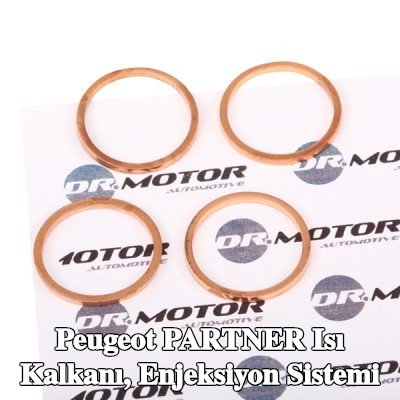 DR.MOTOR AUTOMOTIVE Isı Kalkanı, enjeksiyon sistemi — 2012 Peugeot Partner