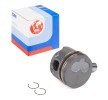 IPSA Piston segmanlı piston, piston segman taşıyıcısı ile — SEAT Inca (1)