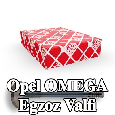 FEBI BILSTEIN Egzoz valfi — Opel Omega