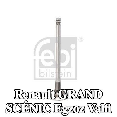 FEBI BILSTEIN Egzoz valfi — 2004 Renault Grand Scénic