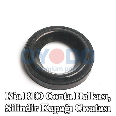 Oyodo Conta halkası, silindir kapağı cıvatası — 2005 Kia Rio