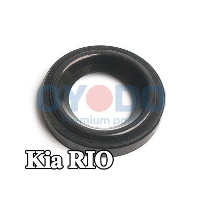 Oyodo حلقة مانعة للتسرب، مسمار غطاء رأس الأسطوانة — 2005 Kia Rio