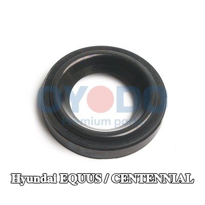 Oyodo حلقة مانعة للتسرب، مسمار غطاء رأس الأسطوانة — Hyundai Equus / Centennial
