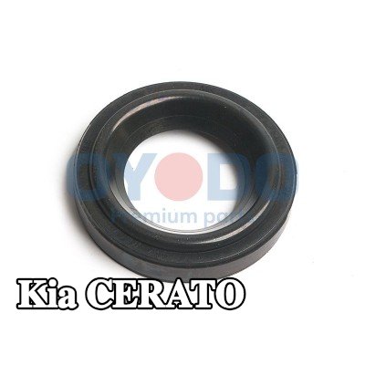 Oyodo حلقة مانعة للتسرب، مسمار غطاء رأس الأسطوانة — 2004 Kia Cerato