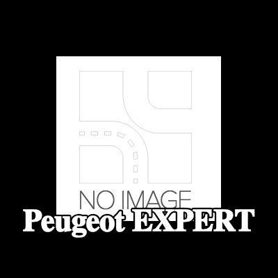 CITROEN/PEUGEOT حلقة المزامنة، ناقل الحركة اليدوي — Peugeot Expert