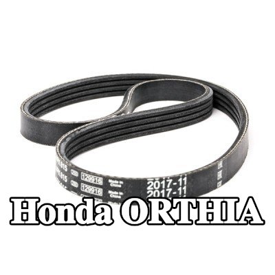 BOSCH حزام سيربنتين 815mm, Number of ribs: 4 — Honda Orthia