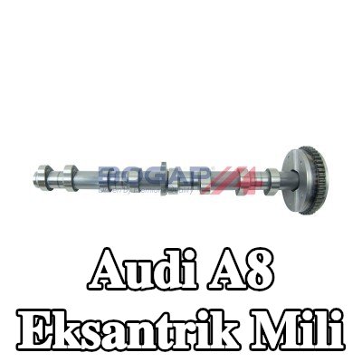 BOGAP Eksantrik Mili — Audi A8