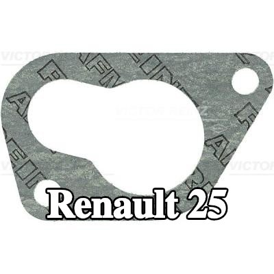 REINZ حشية مشعب السحب — Renault 25