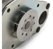 RIDEX Su pompası — Renault 25 (4)