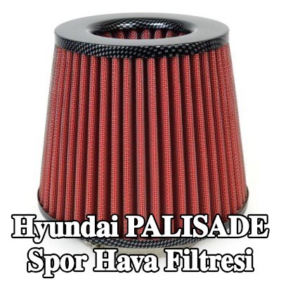 AMiO Spor Hava Filtresi AF-Karbon — Hyundai Palisade