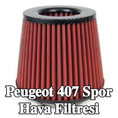AMiO Spor Hava Filtresi AF-Karbon — Peugeot 407