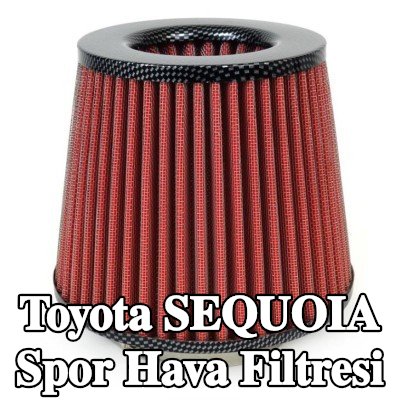AMiO Spor Hava Filtresi AF-Karbon — Toyota Sequoia