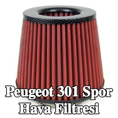 AMiO Spor Hava Filtresi AF-Karbon — Peugeot 301