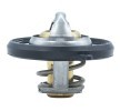 MOTORAD Termostat 54°C, conta halkası ile — Ford Focus (5)