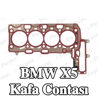 PAYEN Kafa contası 1, 3mm — 2019 BMW X5