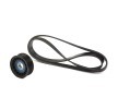 RIDEX V-Oluklu Kayış Seti — Ford Focus (2)