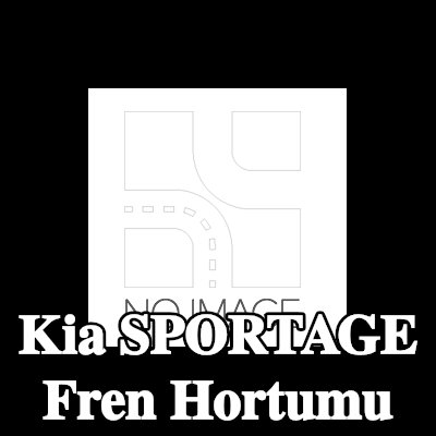 TRW Fren hortumu 350mm — Kia Sportage