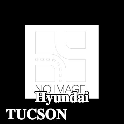 TRW خرطوم الفرامل 350mm — Hyundai Tucson
