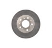 BOSCH Arka aks fren kampanası, 298mm — Citroën C25 (5)
