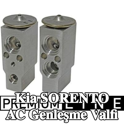 MAHLE AC genleşme valfi — 2002 Kia Sorento