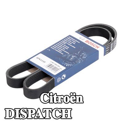 BOSCH حزام سيربنتين 1110mm, Number of ribs: 6 — 2002 Citroën Dispatch