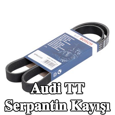 BOSCH Serpantin kayışı 1110mm, Number of ribs: 6 — 2012 Audi Tt