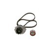 BOSCH Su pompası ve triger kayışı kiti Diş Sayısı: 129, Width: 22mm — 2012 Ford Ka (6)