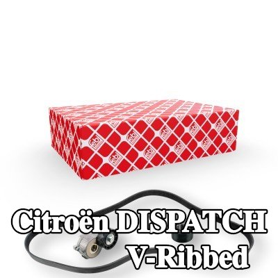 FEBI BILSTEIN مجموعة أحزمة V-Ribbed — 2008 Citroën Dispatch