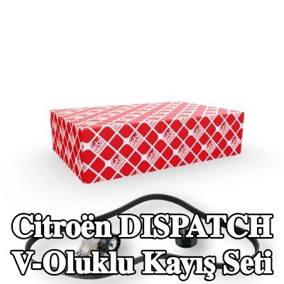 FEBI BILSTEIN V-Oluklu Kayış Seti — 2008 Citroën Dispatch