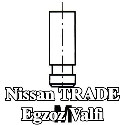 IPSA Egzoz valfi — Nissan Trade