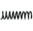 SACHS Helezon yay — 2000 Mercedes-Benz E-Class (4)