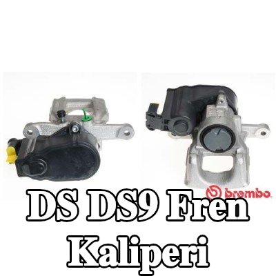 BREMBO Fren kaliperi Essential, Arka Aks Sağ, aksın arkasında — DS Ds9