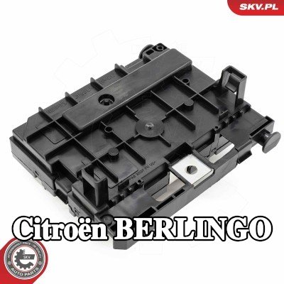 ESEN SKV وحدة التحكم، إدارة المحرك — Citroën Berlingo