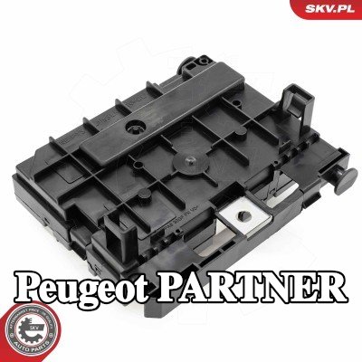 ESEN SKV وحدة التحكم، إدارة المحرك — Peugeot Partner