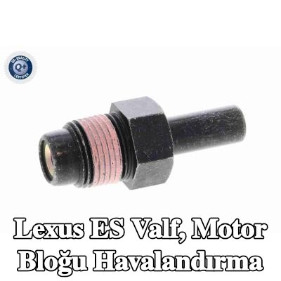 ACKOJA Valf, motor bloğu havalandırma deliği motor tarafında — 2002 Lexus Es