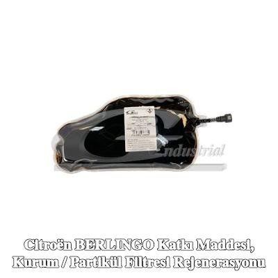 3RG Katkı maddesi, kurum / partikül filtresi rejenerasyonu — 2012 Citroën Berlingo
