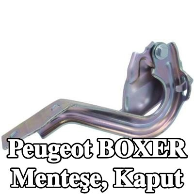 BLIC Menteşe, kaput — 2003 Peugeot Boxer