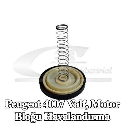 3RG Valf, motor bloğu havalandırma — Peugeot 4007