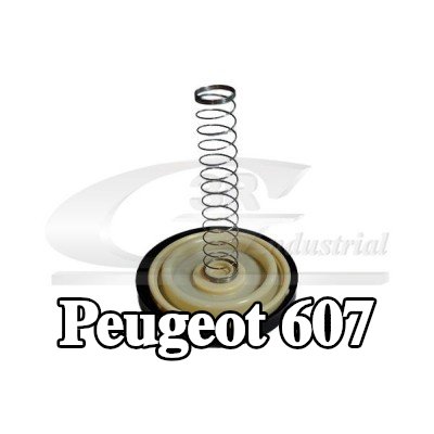 3RG صمام تنفيس كتلة المحرك — Peugeot 607