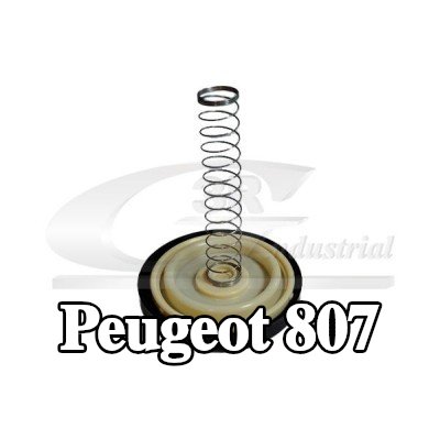 3RG صمام تنفيس كتلة المحرك — Peugeot 807