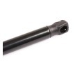 RIDEX Bagaj kapağı desteği 543mm — 2004 Mercedes-Benz Cls (4)