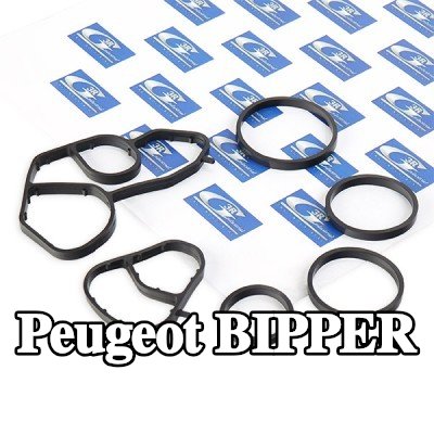 3RG مجموعة حشيات، مبرد الزيت — Peugeot Bipper
