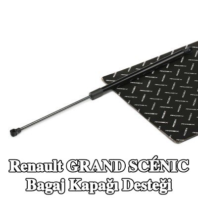 RIDEX Bagaj kapağı desteği 549, 5mm — Renault Grand Scénic