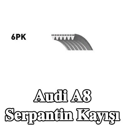 BOSCH Serpantin kayışı 1610mm, Number of ribs: 6 — 2011 Audi A8