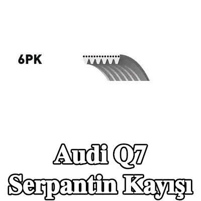 BOSCH Serpantin kayışı 1610mm, Number of ribs: 6 — 2012 Audi Q7