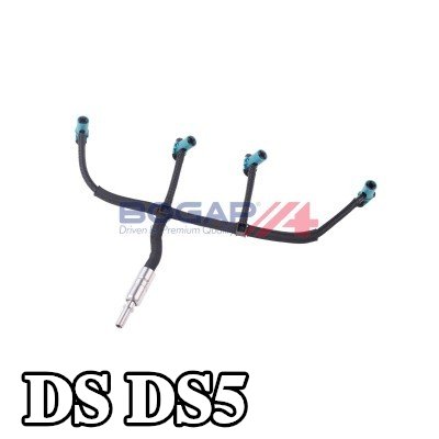 BOGAP خط الوقود — DS Ds5