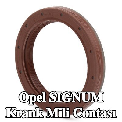 FEBI BILSTEIN FPM (florlu kauçuk) krank mili contası — 2003 Opel Signum